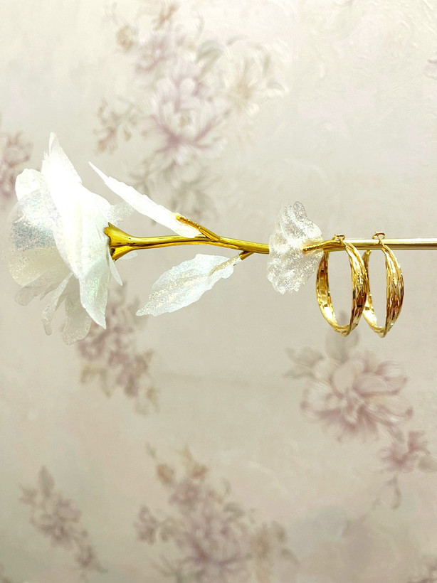 گوشواره حلقه ای طلایی گلد، بی نظیر در طراحی و آبکاری،ترند بازار امروز✨ تا ابد ماندگاری رنگ و کیفیت کالا 💯 درصد تضمینی ✅ از مارک معتبر Fulijia. همین الان دکمه ثبت سفارش رو بزن که هرجای ایران باشی، واست ارسال میشه 🚚😊